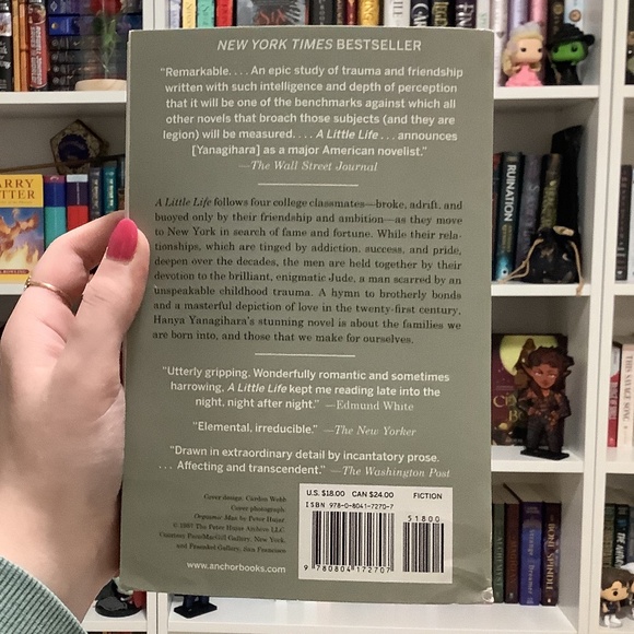 LGBTQ+ Fiction Book: A Little Life by Hanya Yanagihara - Picture 3 of 4